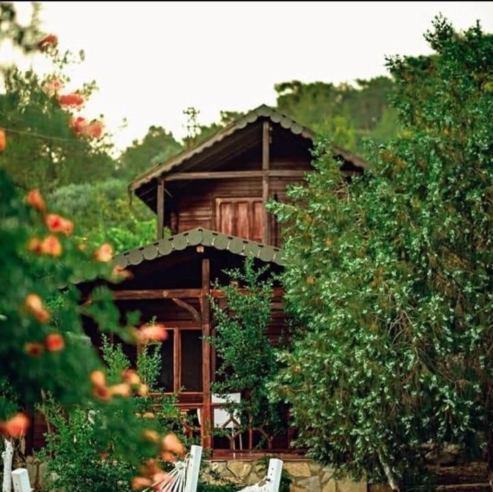 Hotel Olympos Talara By Arzum à Kumluca Extérieur photo