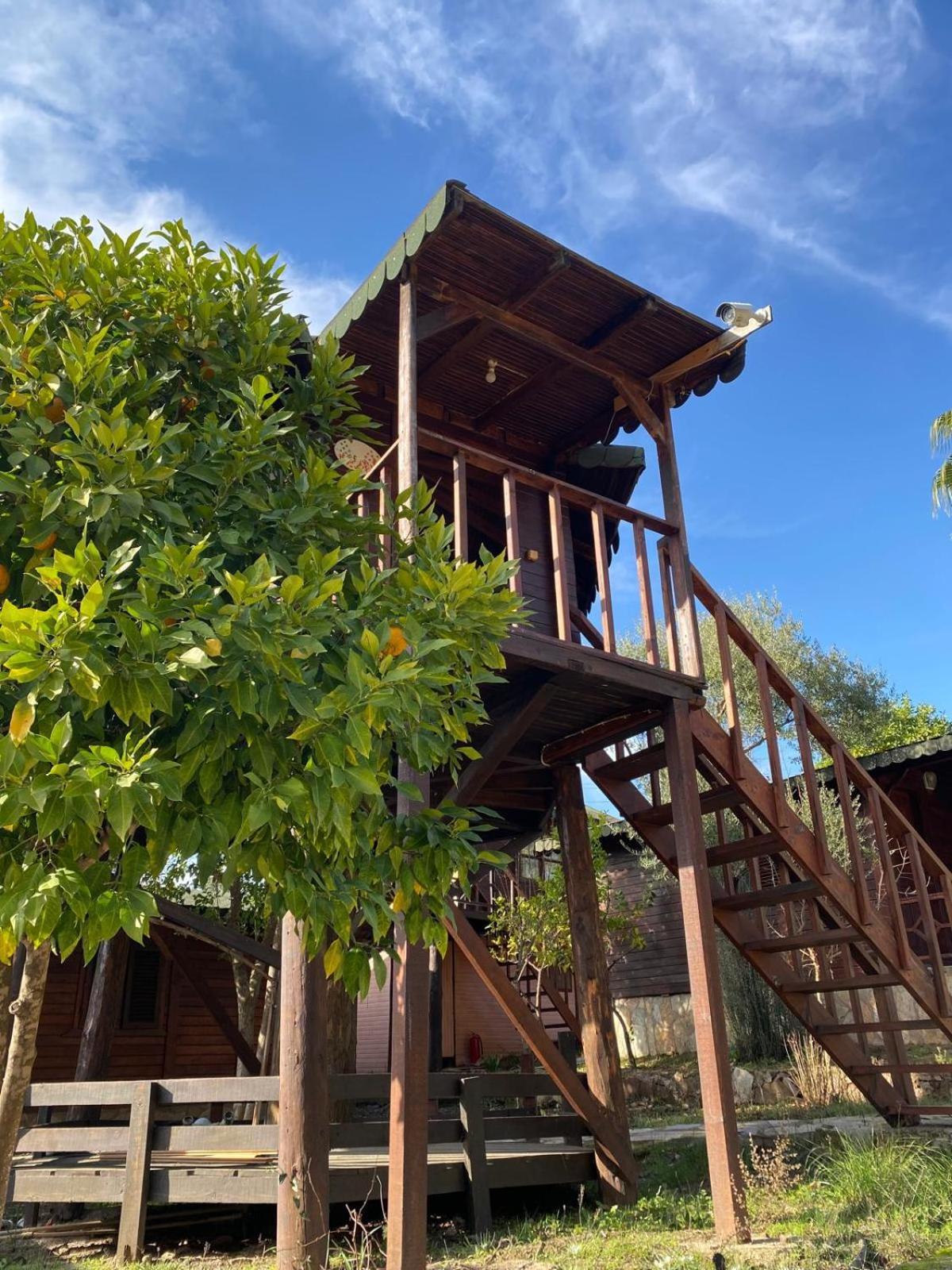 Hotel Olympos Talara By Arzum à Kumluca Extérieur photo